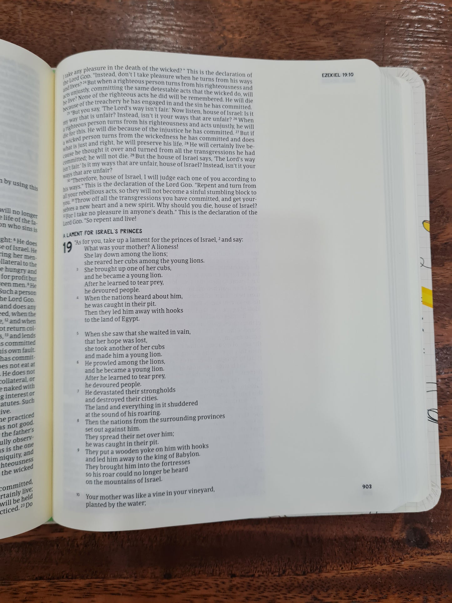 CSB Journal and Draw Bible for Kids White (OM)