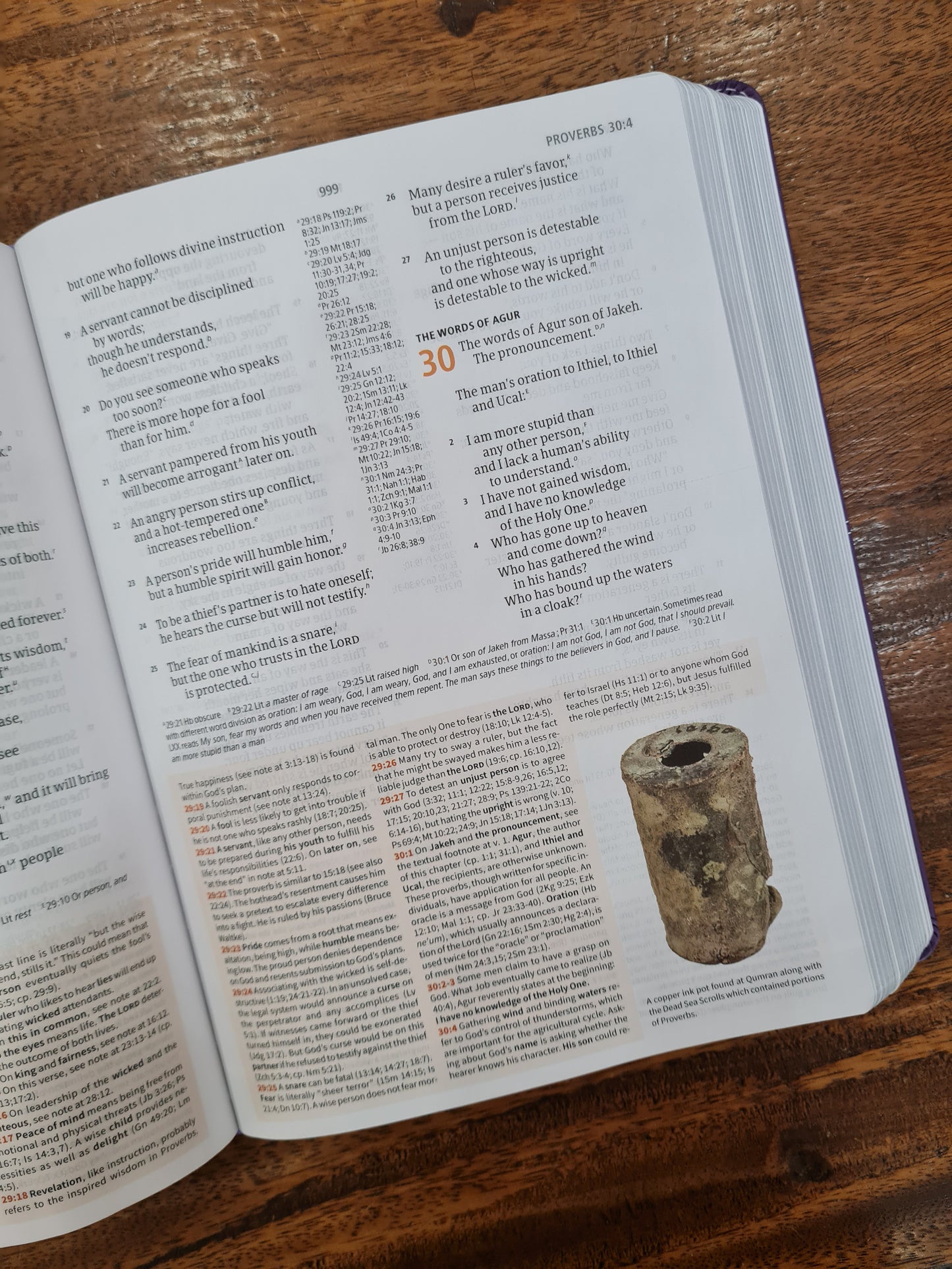 CSB Study Bible, Purple LeatherTouch (OM)