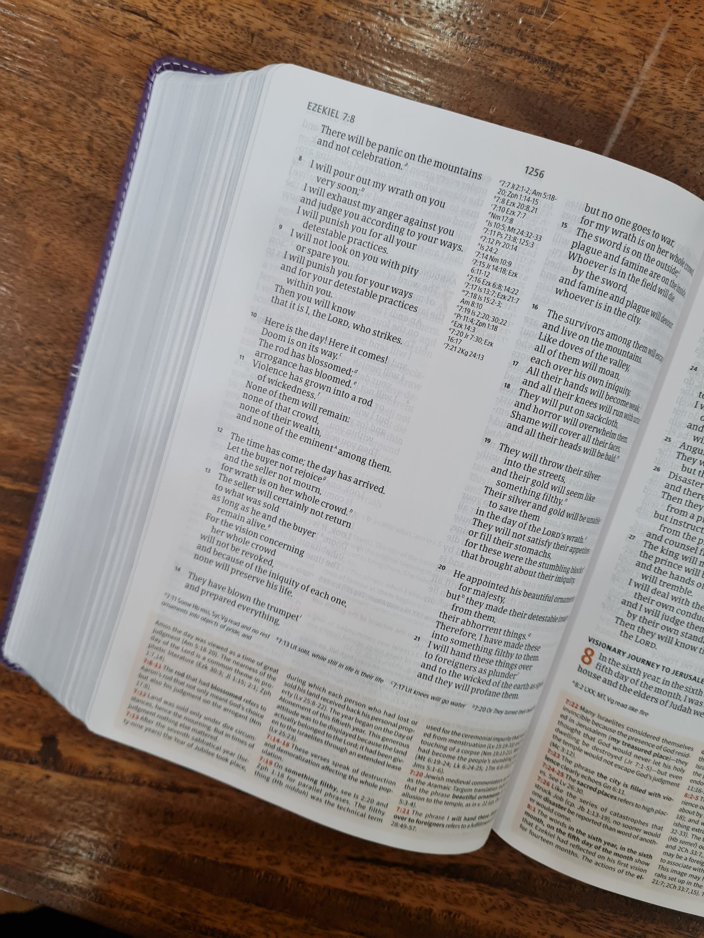 CSB Study Bible, Purple LeatherTouch (OM)