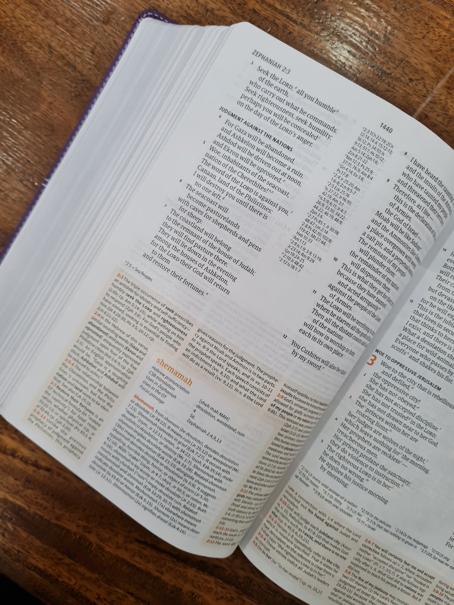 CSB Study Bible, Purple LeatherTouch (OM)