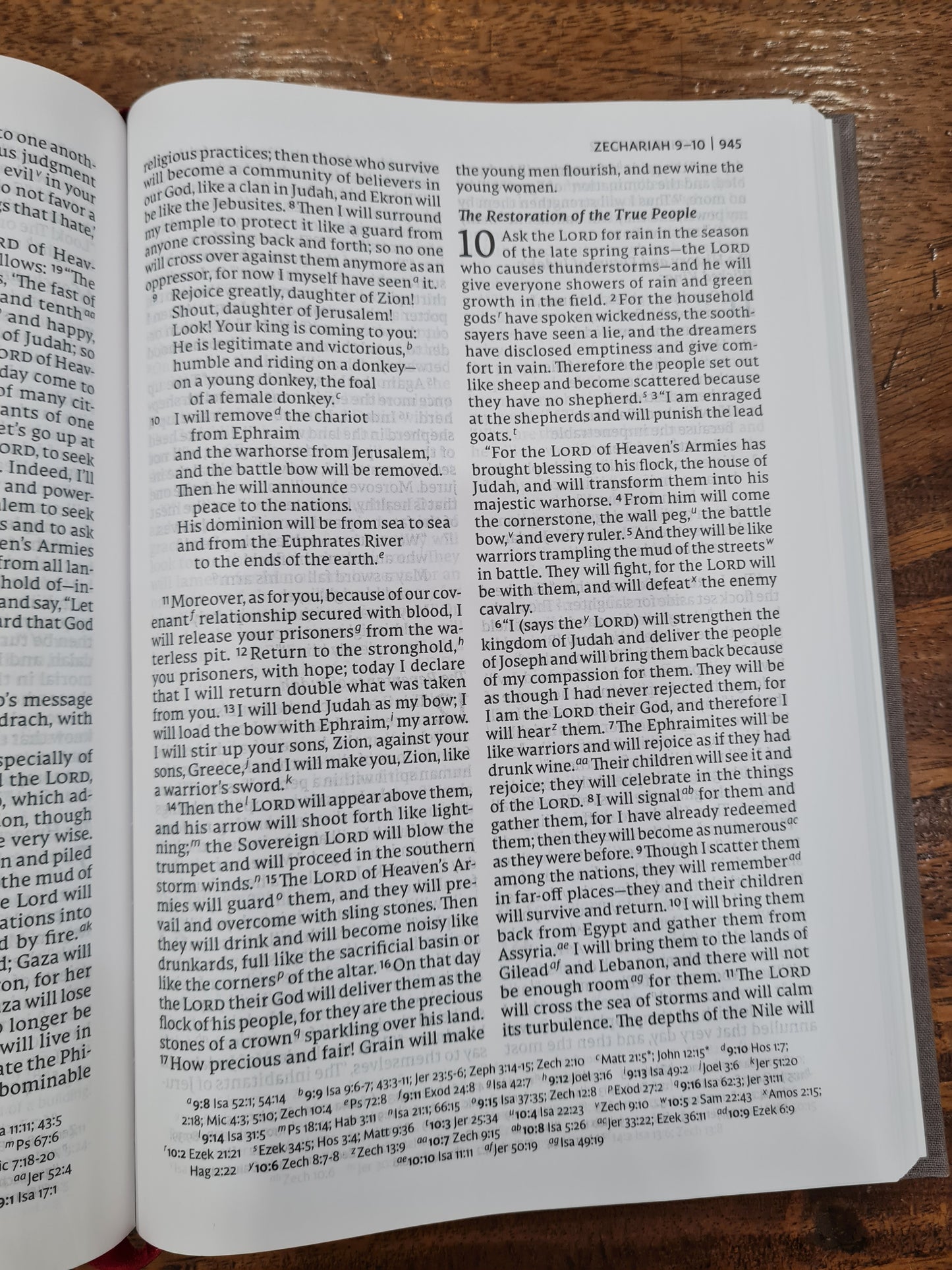NET Bible Thinline Reference, Large Print Gray (OM)