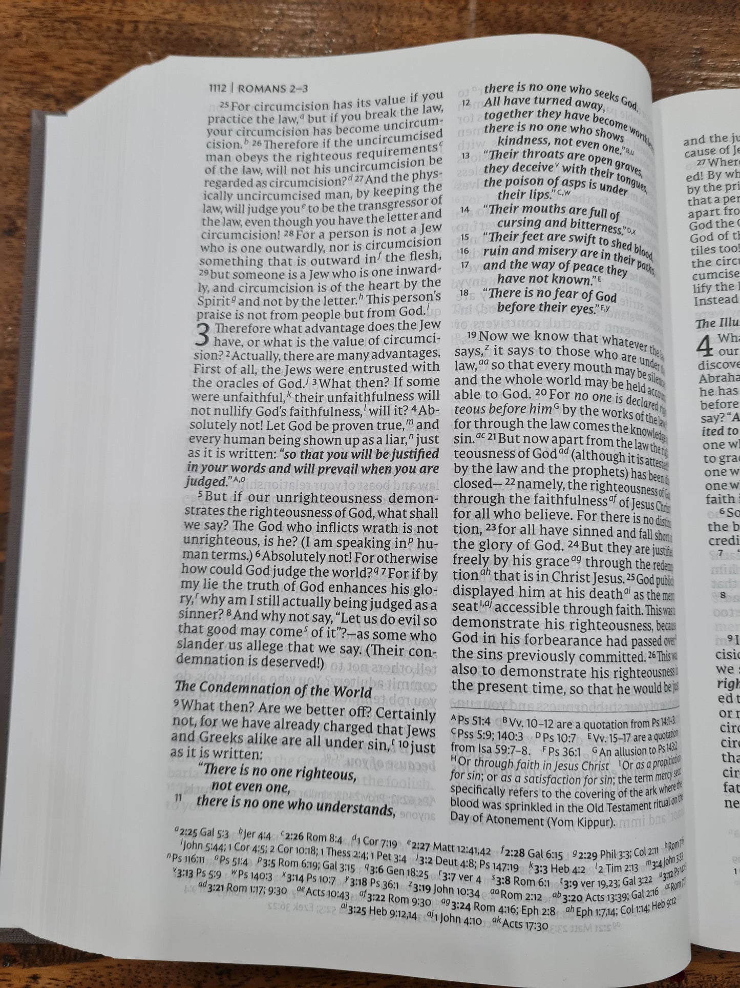 NET Bible Thinline Reference, Large Print Gray (OM)