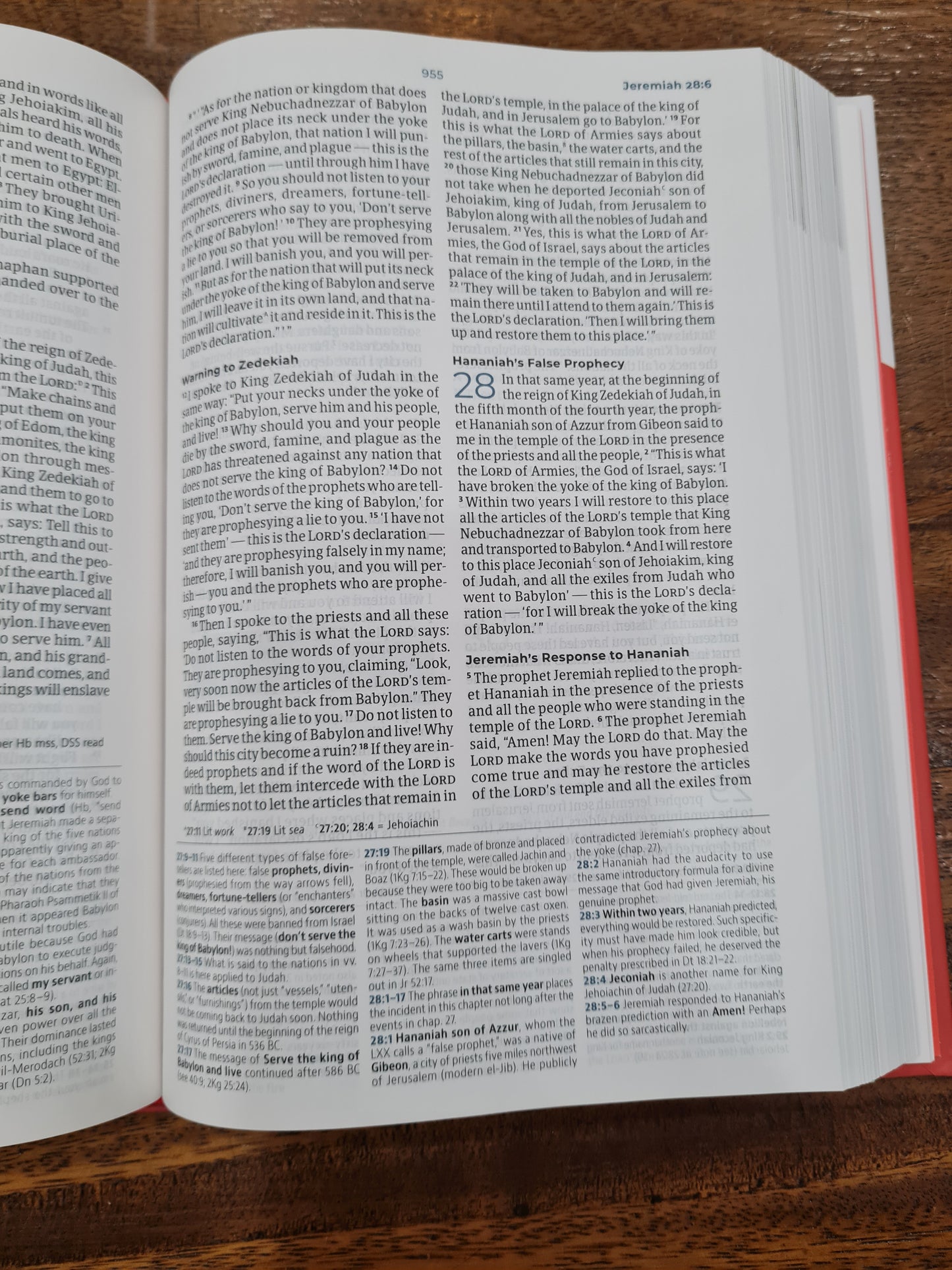 CSB Student Study Bible, Deep Coral Hardcover (OM)