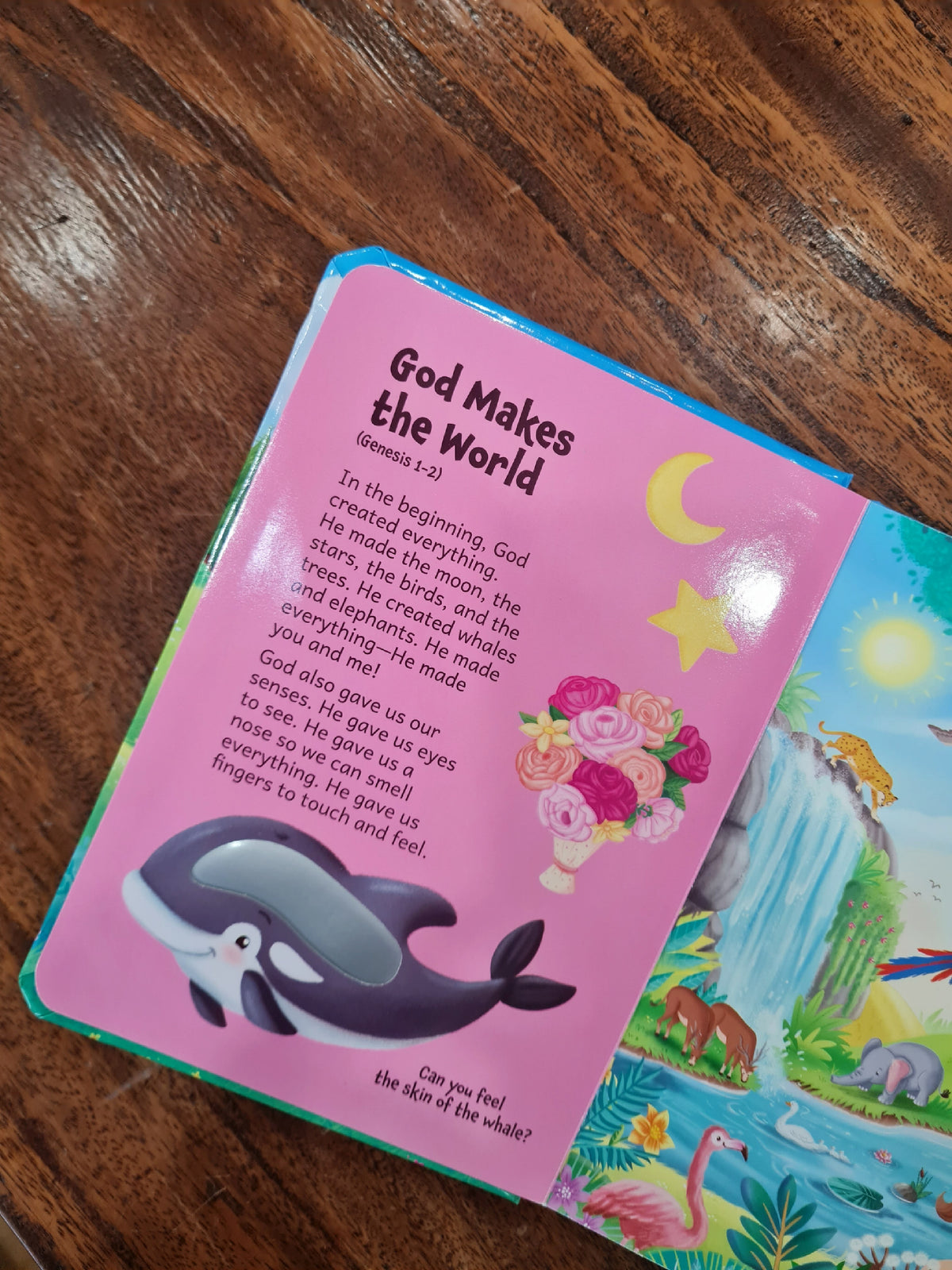 My Read, See and Touch Bible