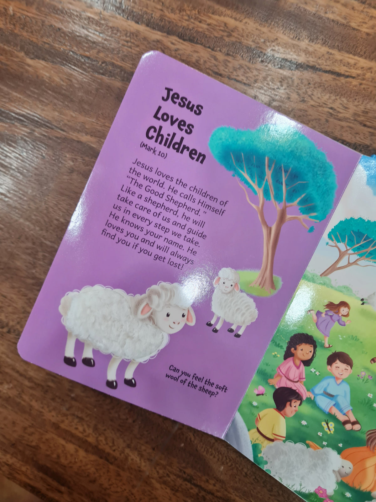 My Read, See and Touch Bible