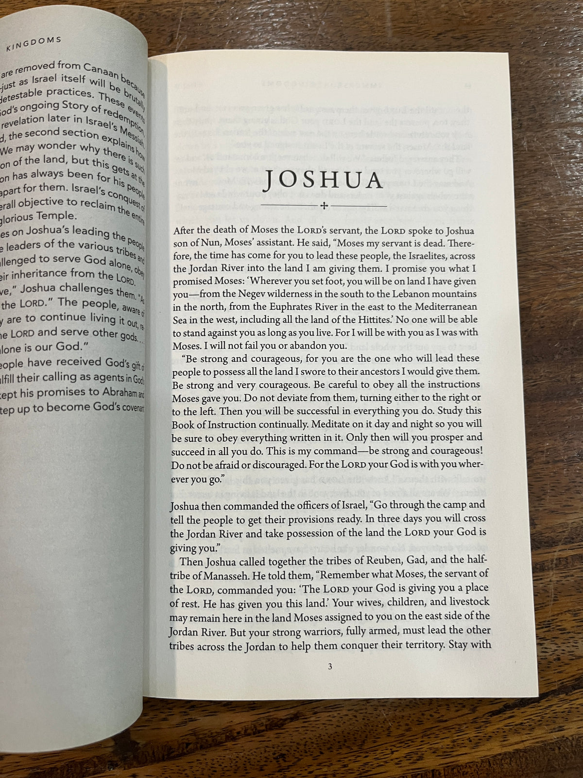 Immerse: Kingdoms (Paperback) [SALE ITEM]