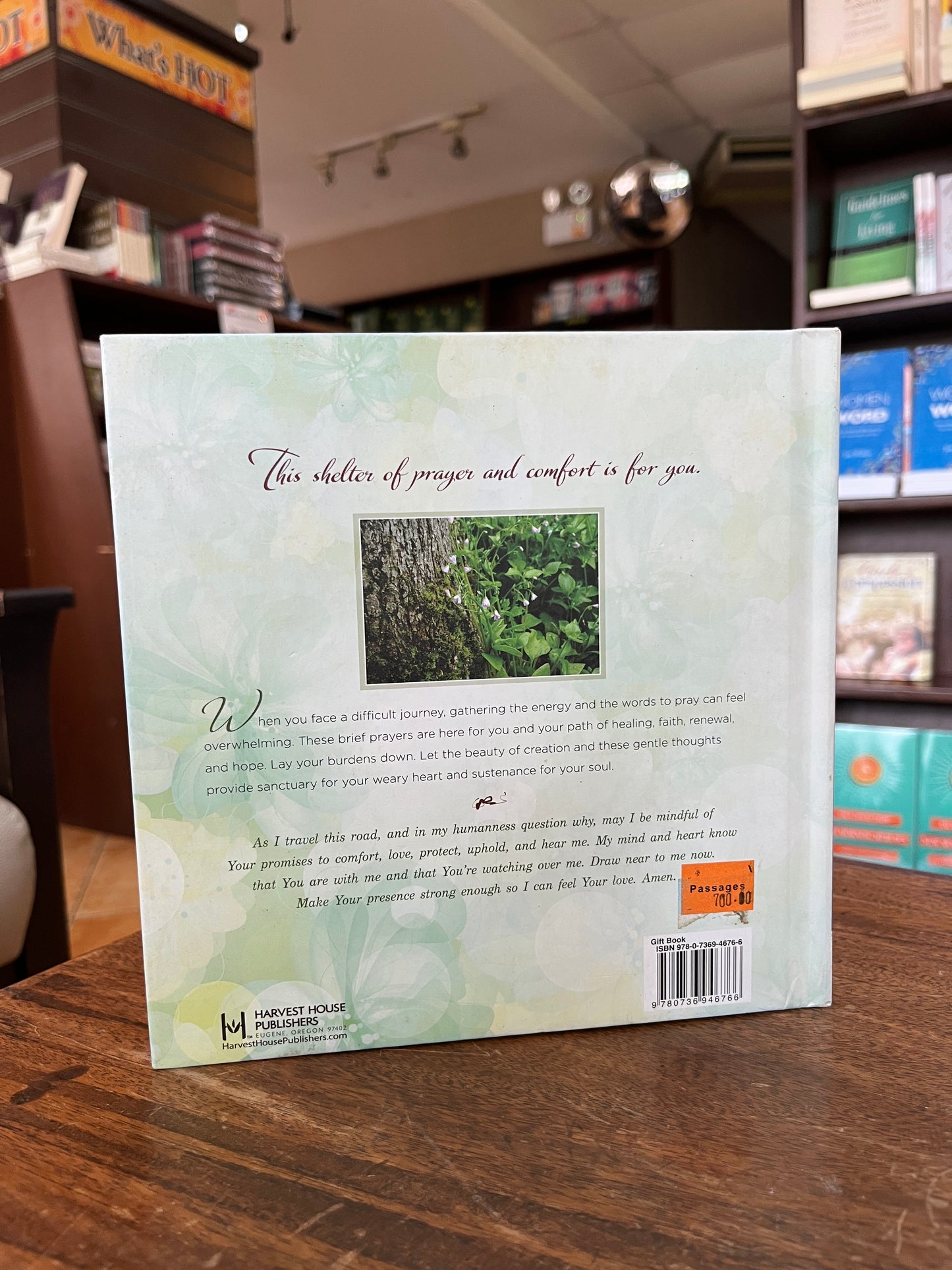Gentle Prayers for Hope and Healing (Hardcover)