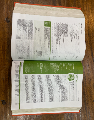 NLT Life Application Study Bible, Third Edition--hardcover cloth over board, coral