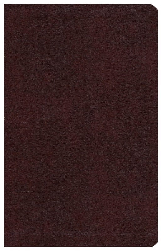 The KJV Study Bible Burgundy Bonded Leather