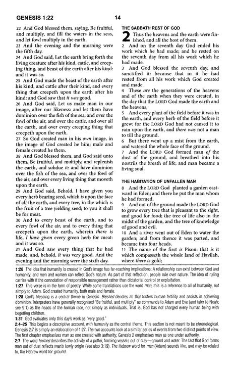 The KJV Study Bible Burgundy Bonded Leather