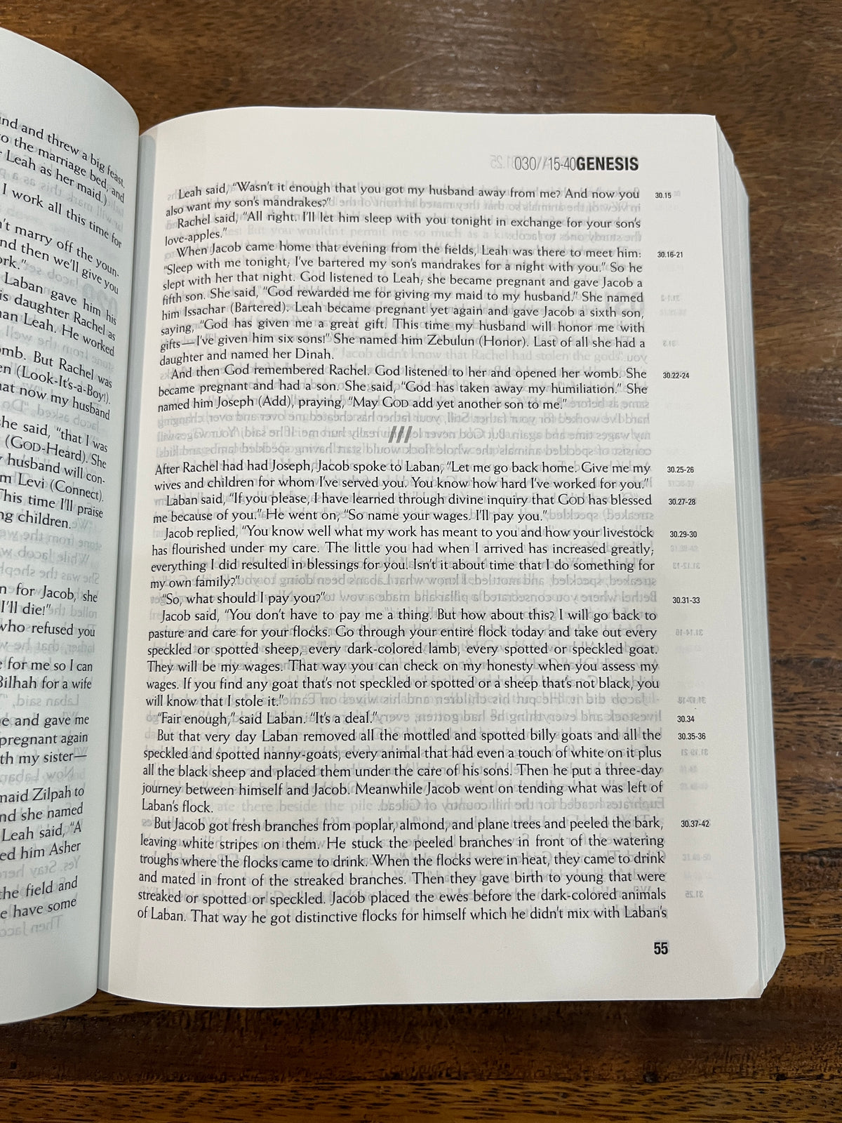 The Message//REMIX: The Bible in Contemporary Language (Softcover, Wood) (SALE ITEM)