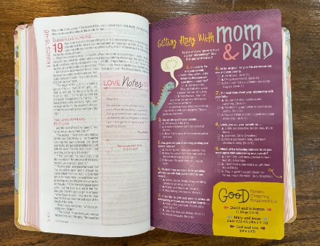 NIV True Images Bible (Imitation Leather, Blue/Gold)