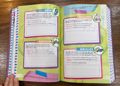 NLT Girls Life Application Study Bible (Purple/Teal)
