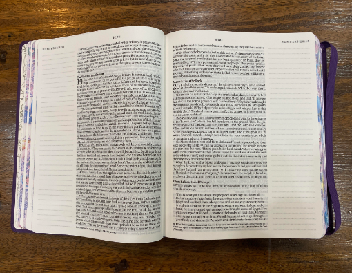 Inspire PRAISE Bible NLT, Filament-Enabled Edition (Hardcover LeatherLike, Purple): The Bible for Coloring & Creative Journaling