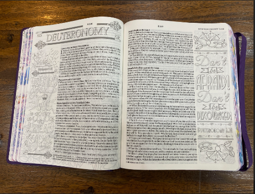 Inspire PRAISE Bible NLT, Filament-Enabled Edition (Hardcover LeatherLike, Purple): The Bible for Coloring & Creative Journaling