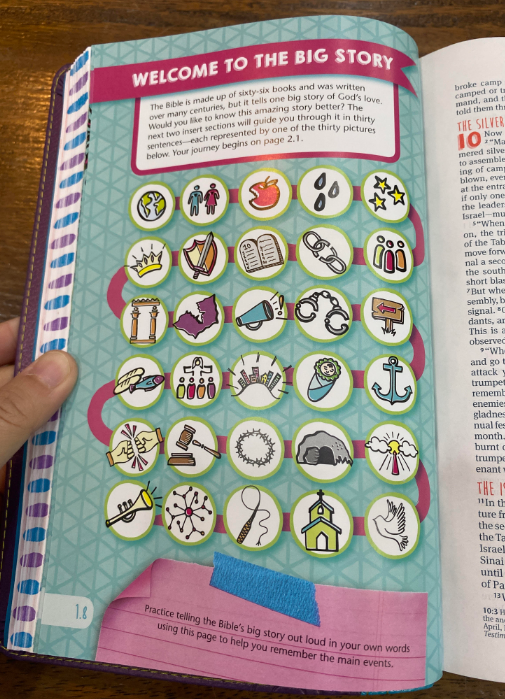 NLT Girls Life Application Study Bible (Purple/Teal)