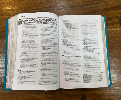 NLT Teen Life Application Study Bible (Teal)