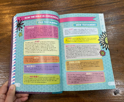 NLT Girls Life Application Study Bible (Purple/Teal)