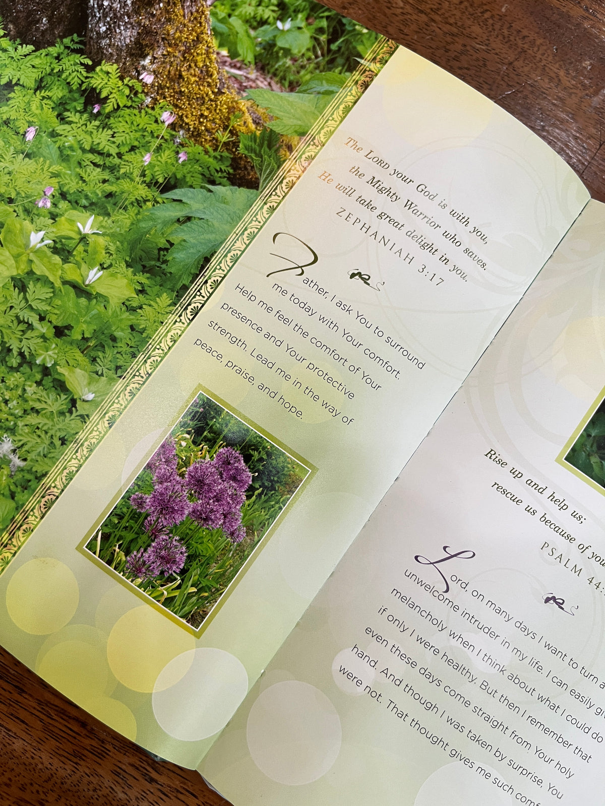 Gentle Prayers for Hope and Healing (Hardcover)