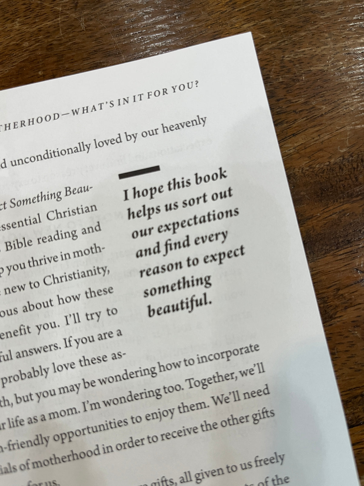 Expect Something Beautiful: Finding God's Good Gifts in Motherhood
