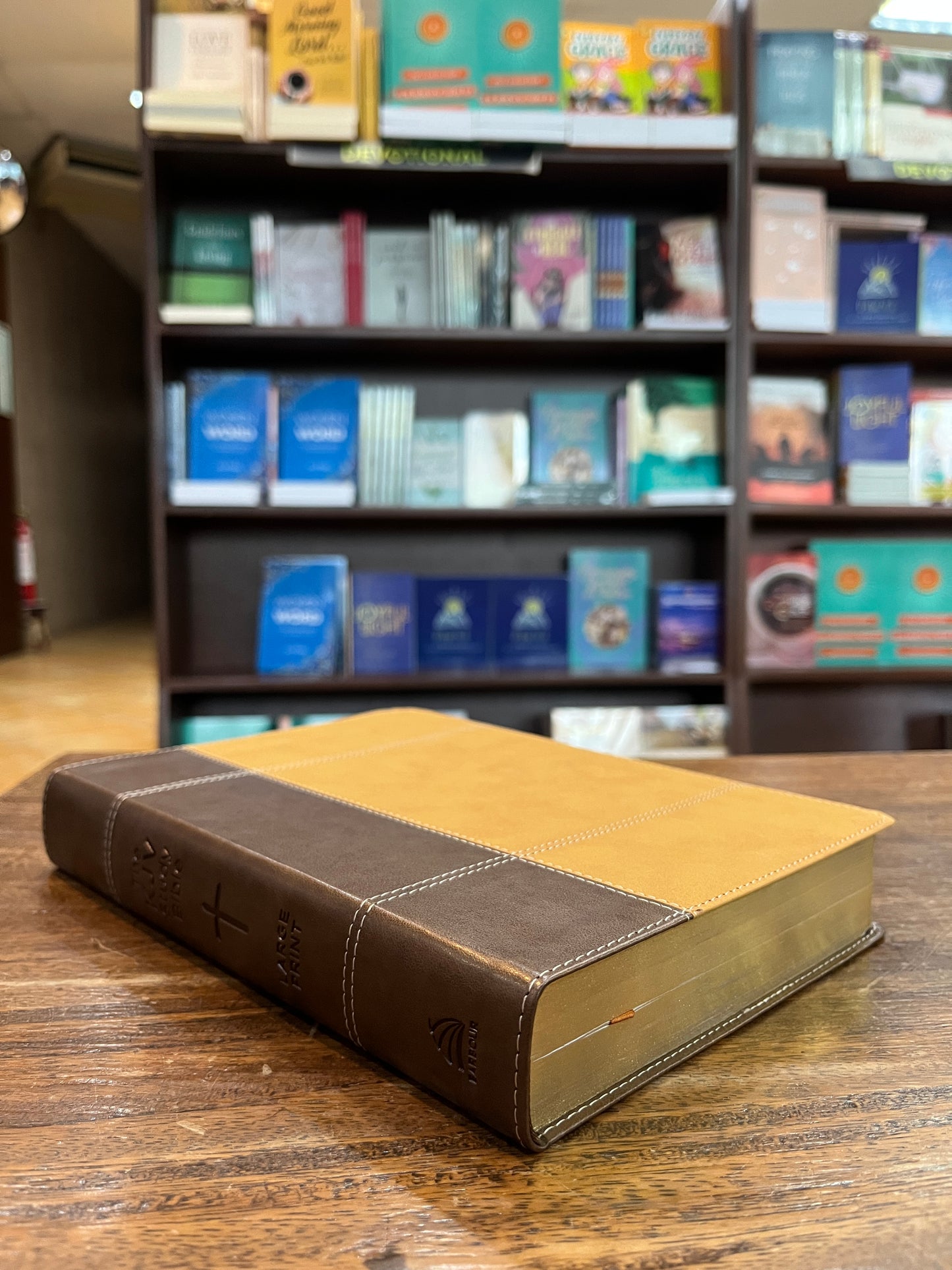 KJV Large-Print Study Bible--imitaion leather, copper (indexed)
