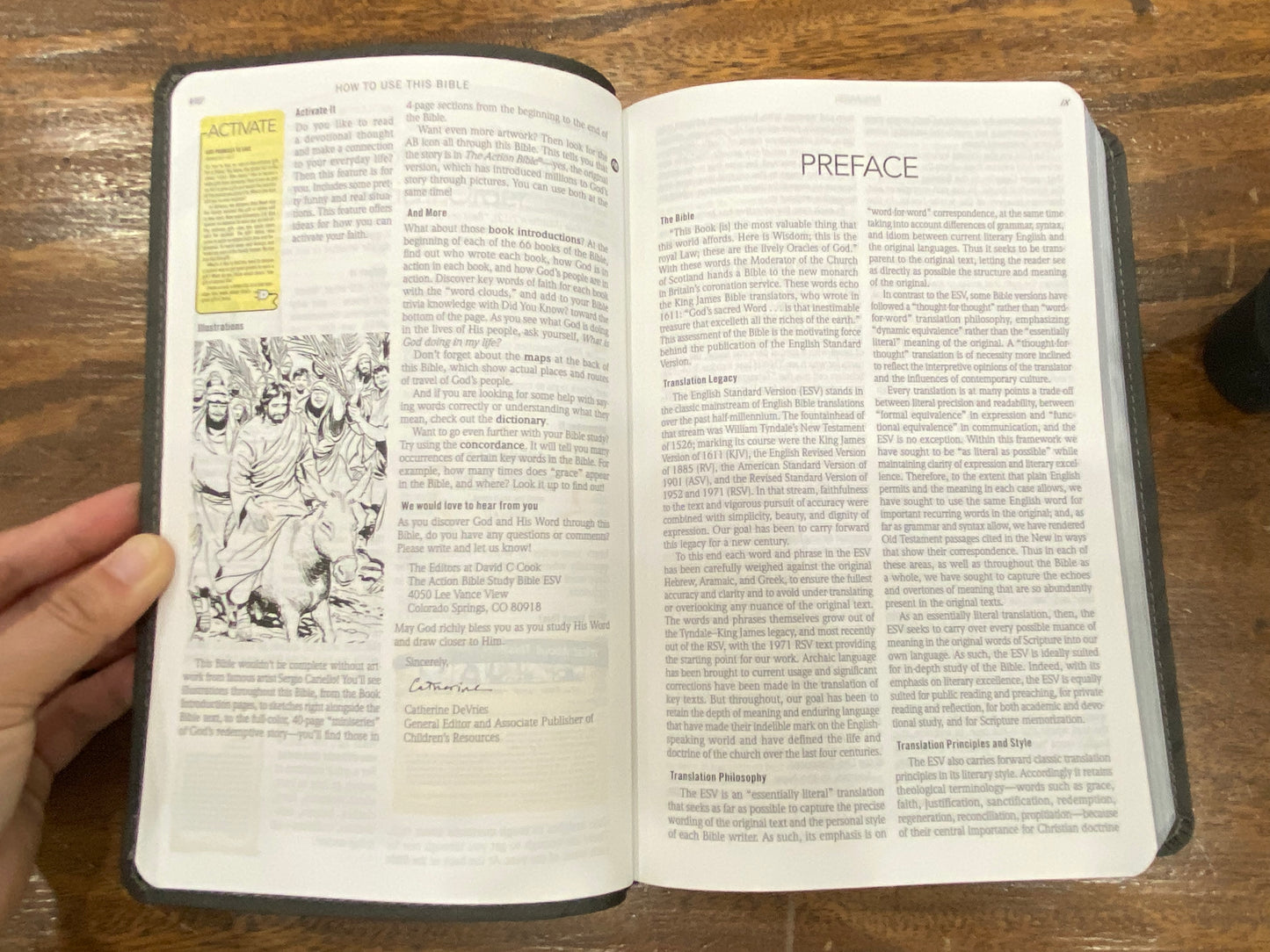 ESV Action Study Bible (Imitation Leather, Gray)