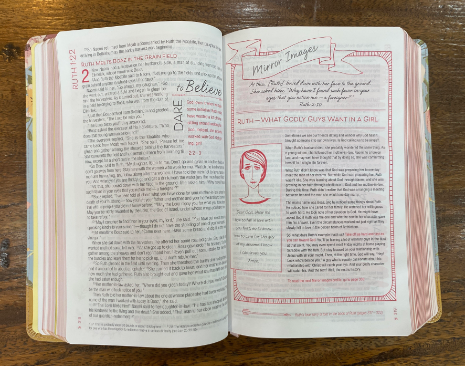 NIV True Images Bible (Imitation Leather, Blue/Gold)