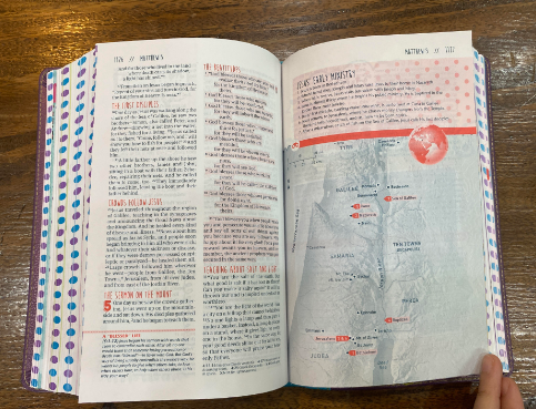 NLT Girls Life Application Study Bible (Purple/Teal)