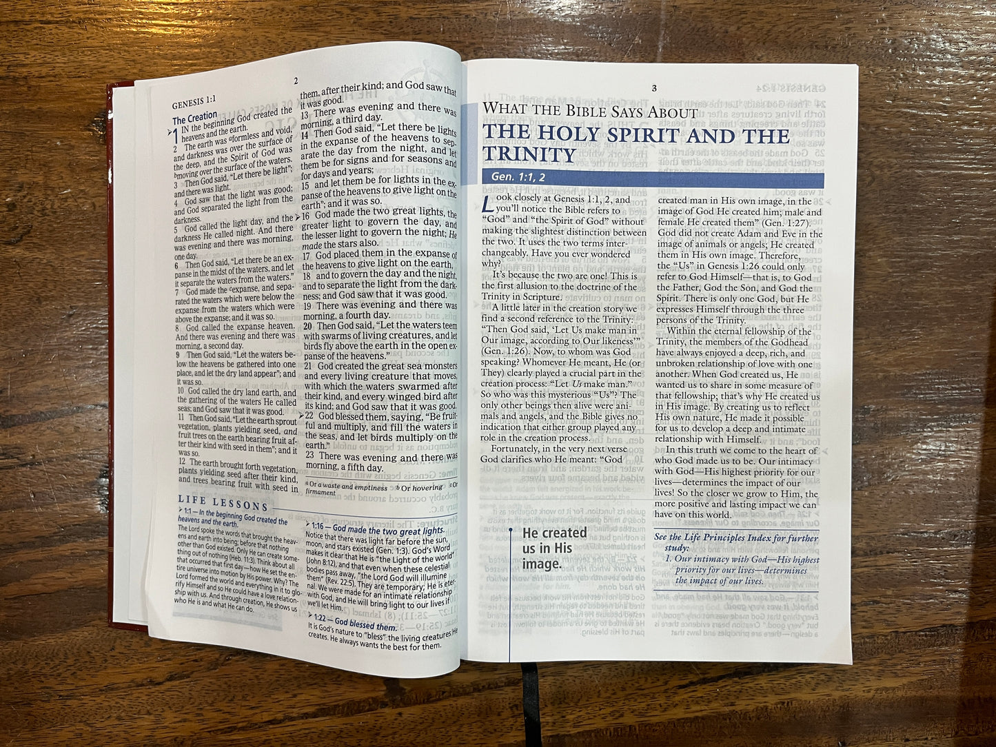 NASB The Charles F. Stanley Life Principles Bible Large Print Edition (Hardcover)