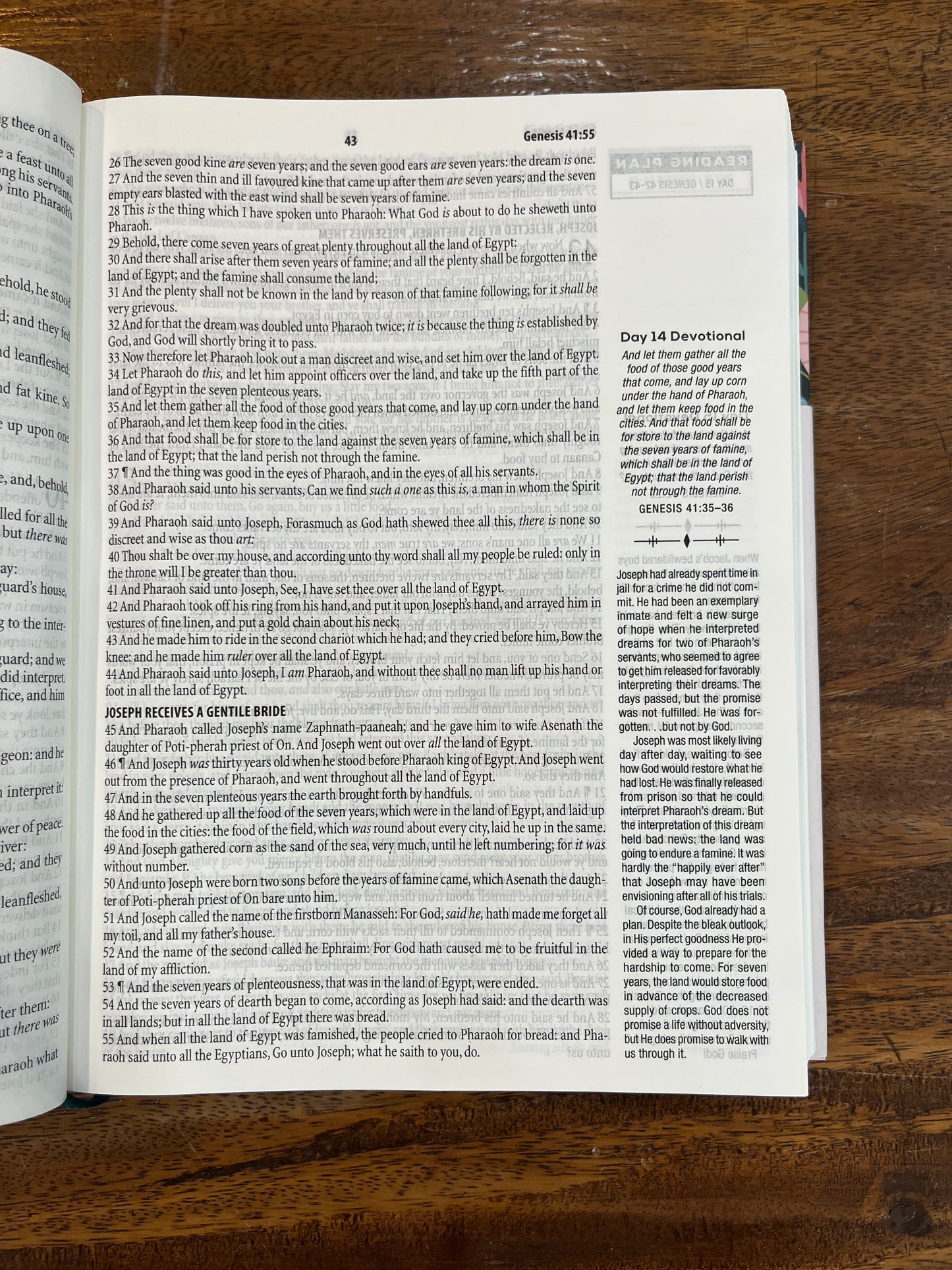 KJV Daily Wisdom for Teen Girls Devotional Bible