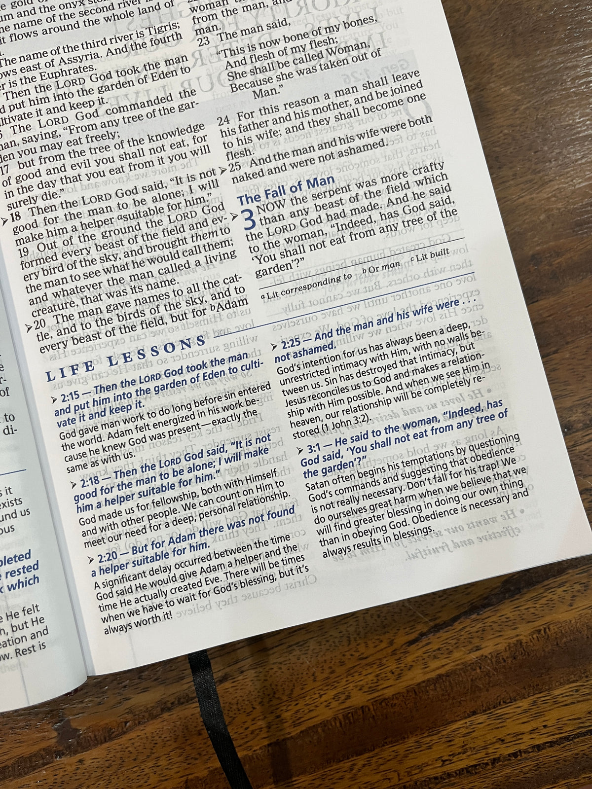 NASB The Charles F. Stanley Life Principles Bible Large Print Edition (Hardcover)