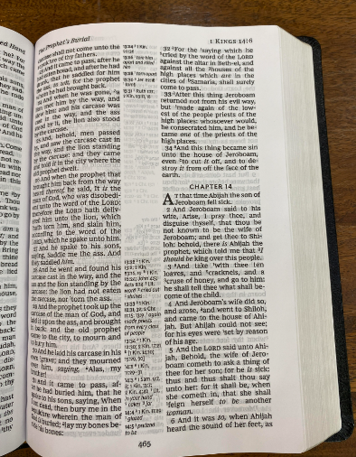 KJV Comfort Print Reference Bible, Giant Print, Black