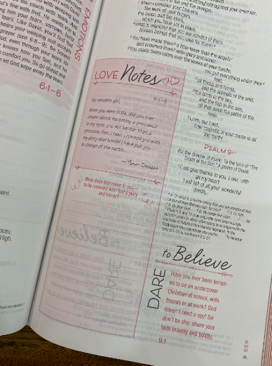 NIV True Images Bible (Imitation Leather, Blue/Gold)