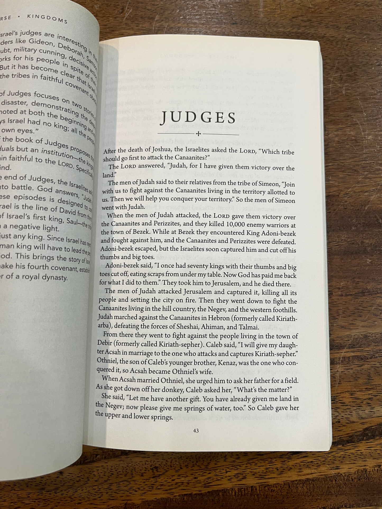 Immerse: Kingdoms (Paperback) [SALE ITEM]