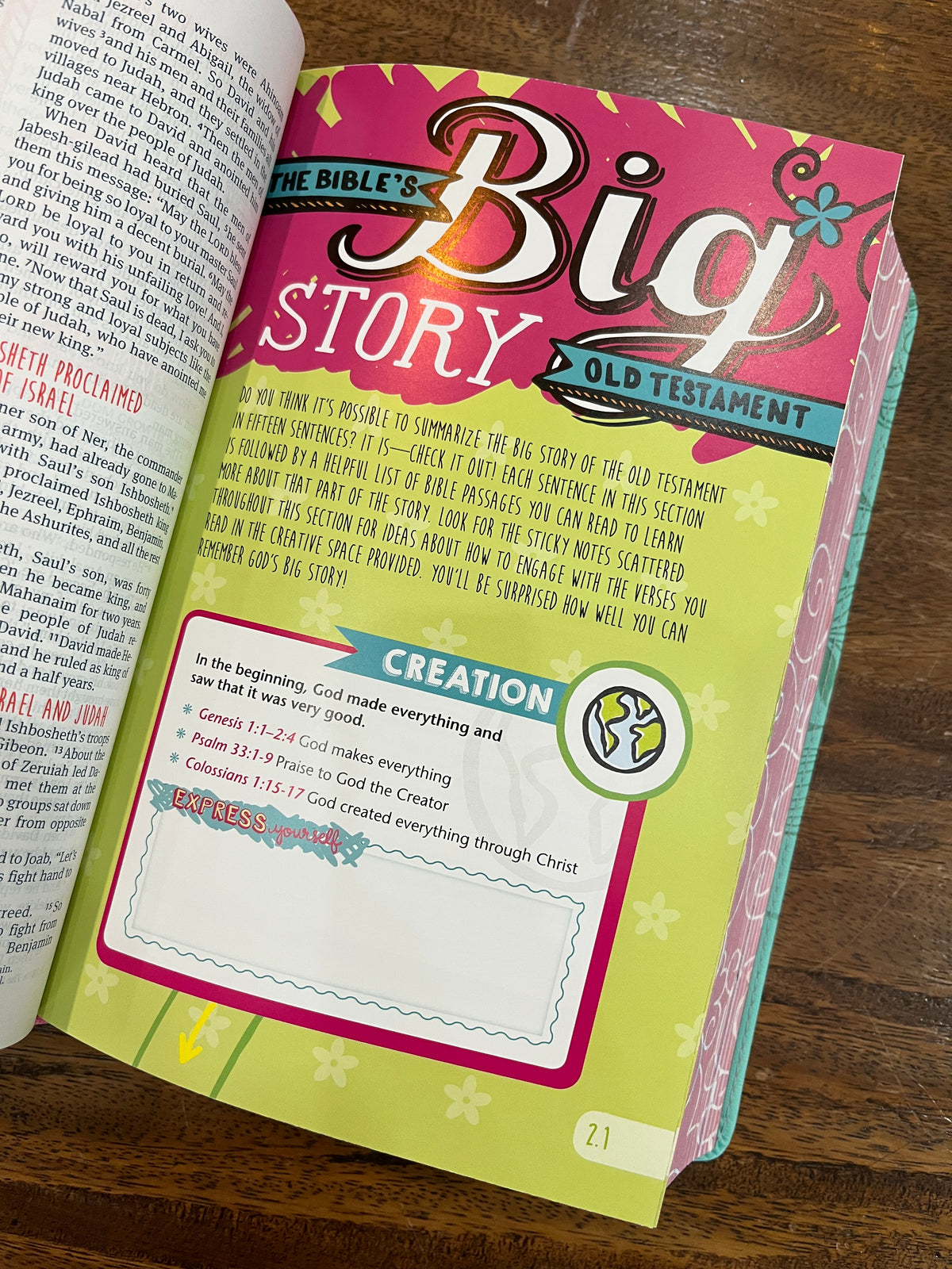 NLT Girls Life Application Study Bible (LeatherLike, Teal/Pink Flowers)