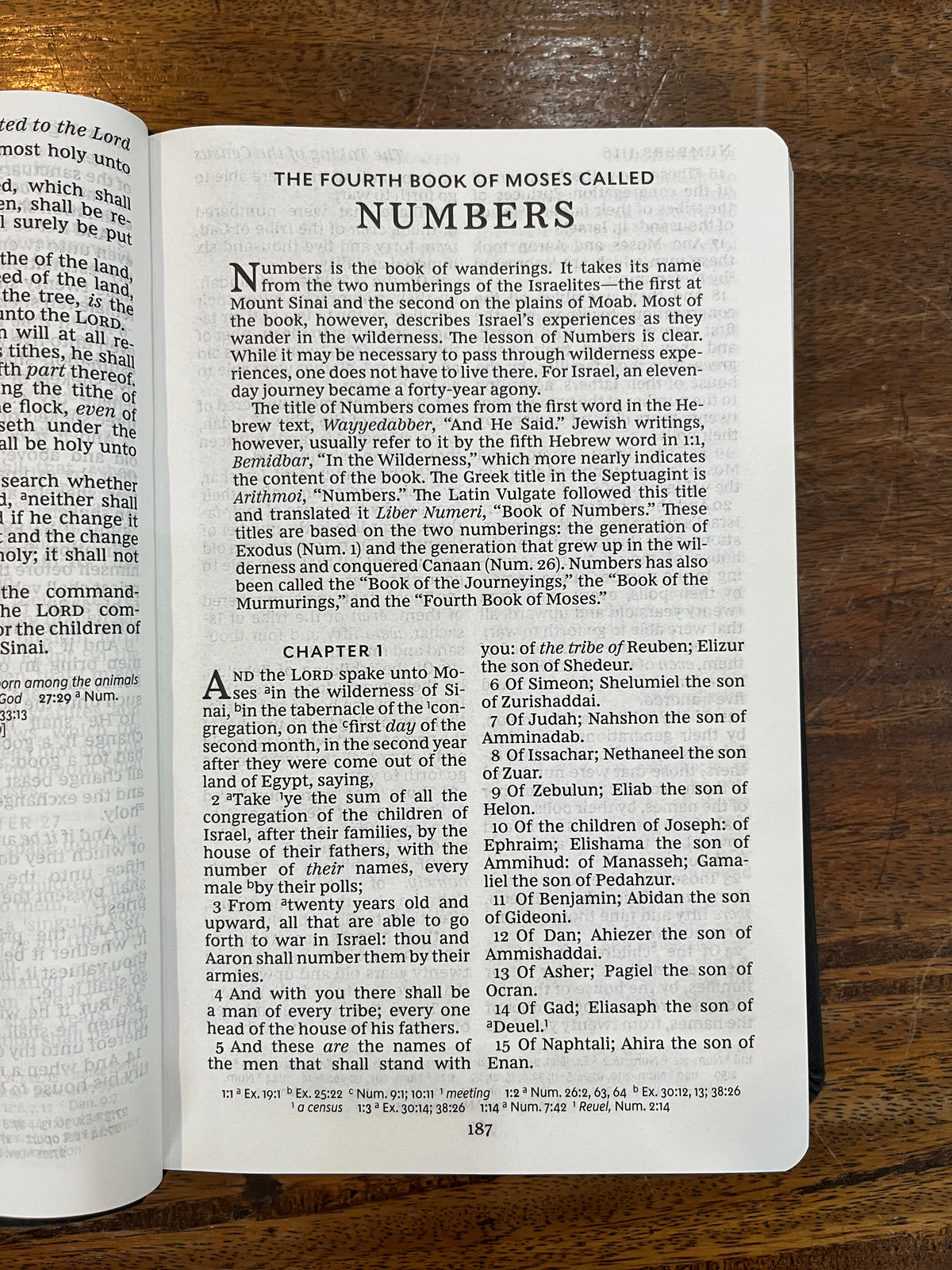 KJV Personal Size Giant Print Reference Bible (Leathersoft, Black)