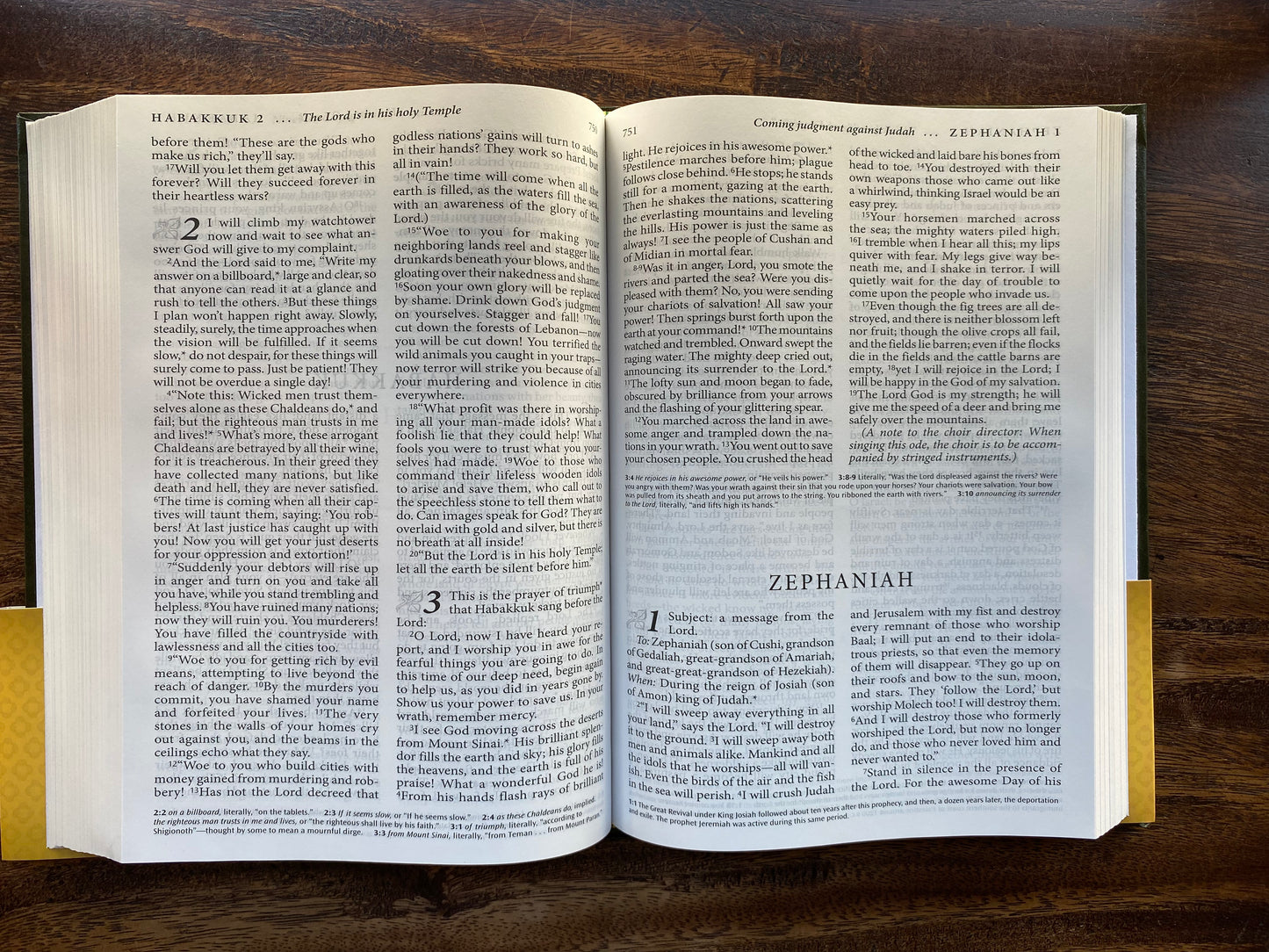 The Living Bible Large Print Edition (Hardcover, Green)