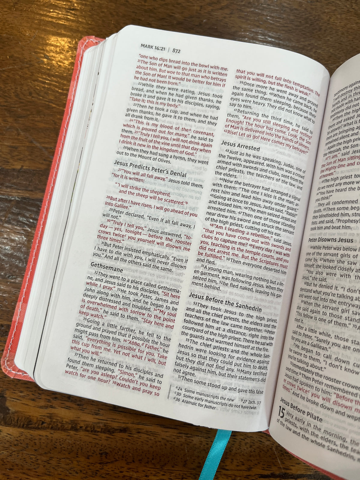 NIV Compact Girls' Ultimate Backpack Bible, Faithgirlz Edition--flexible cover, coral