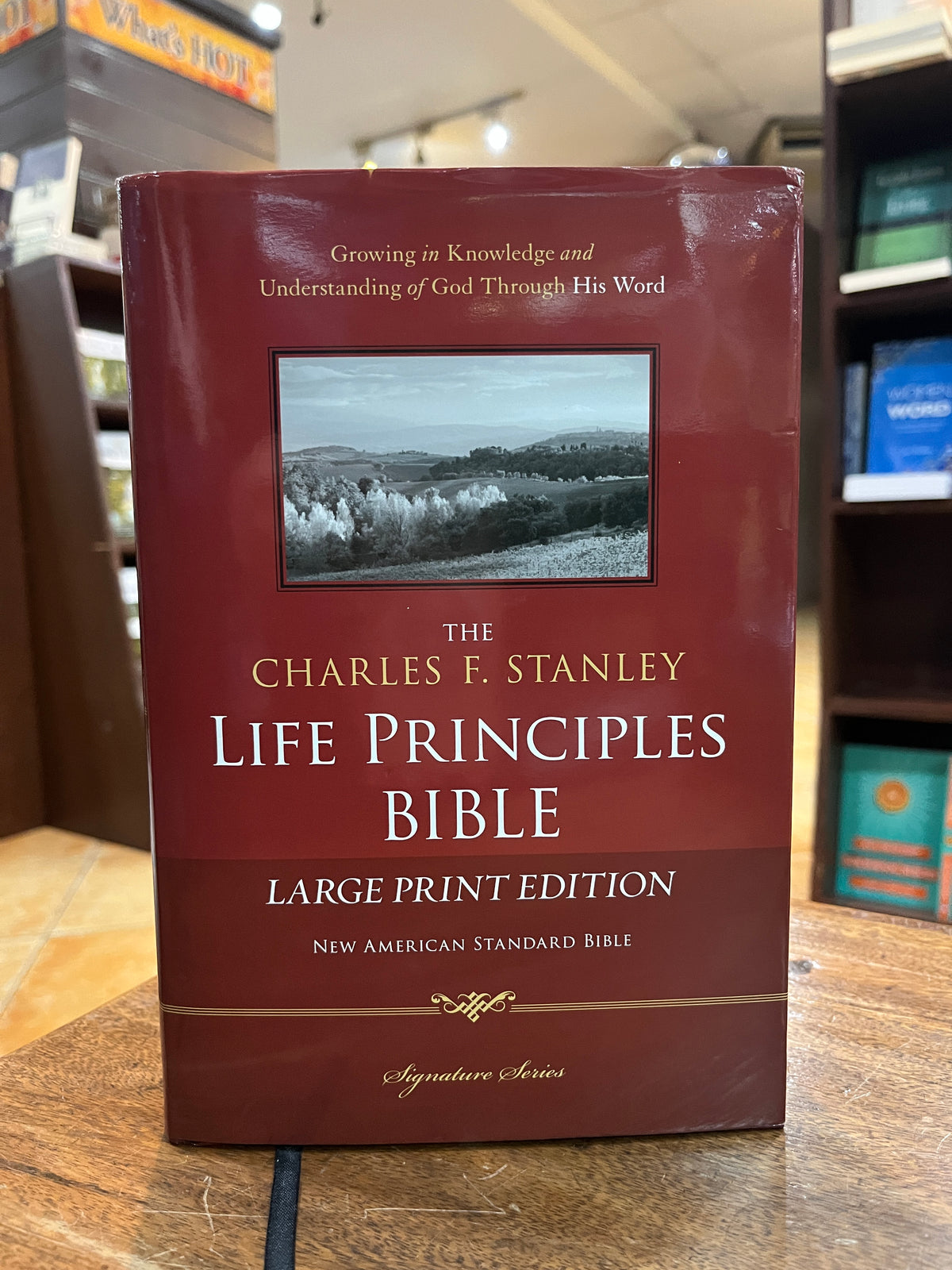 NASB The Charles F. Stanley Life Principles Bible Large Print Edition (Hardcover)