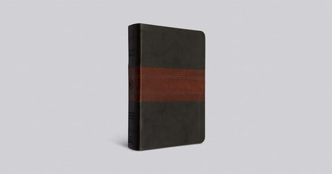 ESV Large Print Personal Size Bible, Red Letter (TruTone, Forest/Tan, Trail Design)
