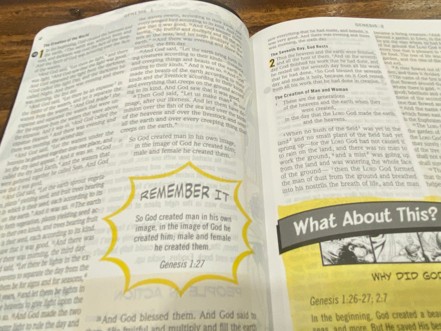 ESV Action Study Bible (Imitation Leather, Gray)