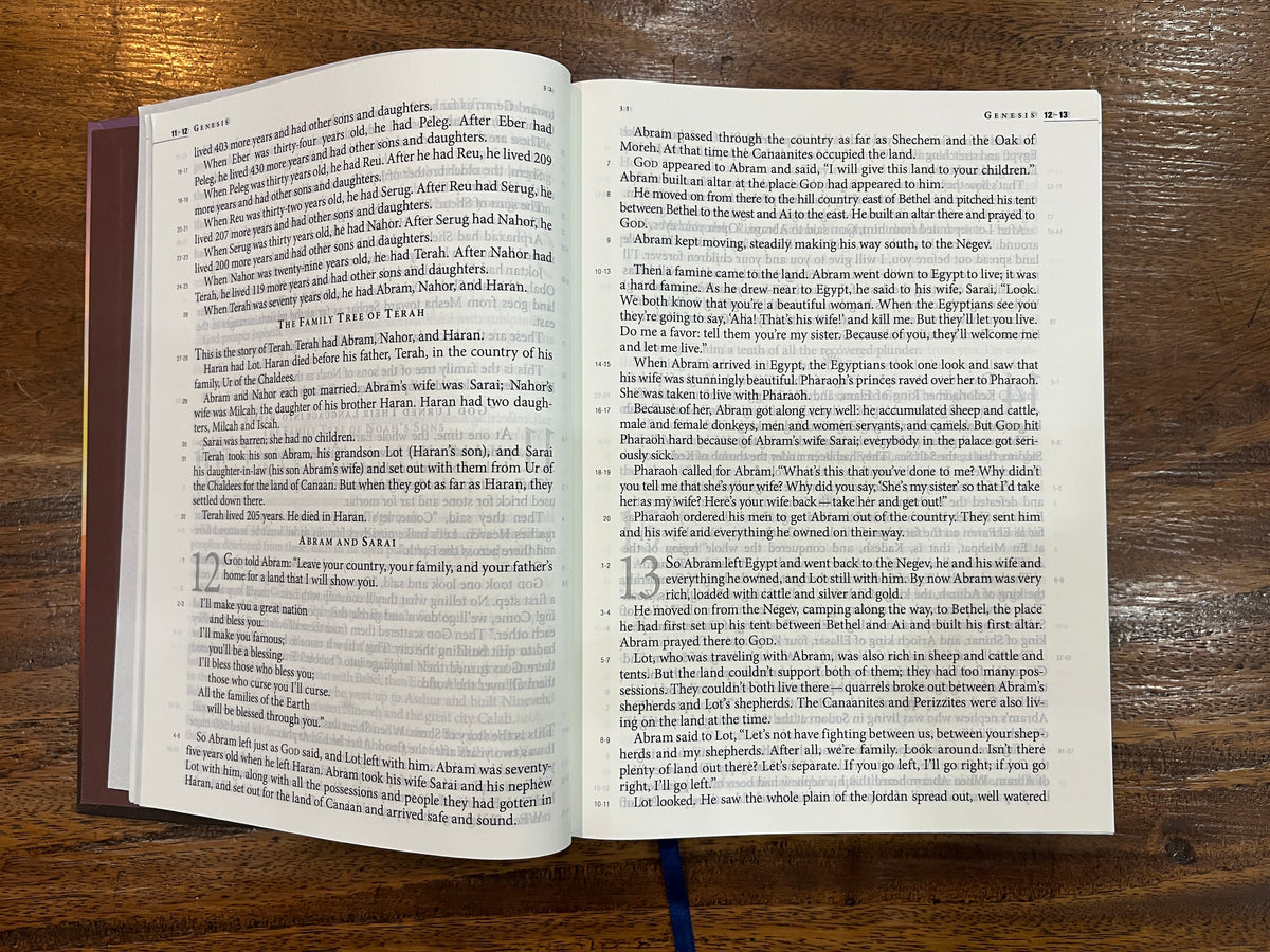 The Message Large Print (Hardcover): The Bible in Contemporary Language