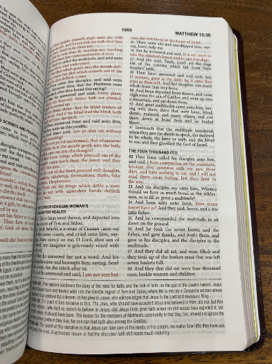 The KJV Study Bible Burgundy Bonded Leather