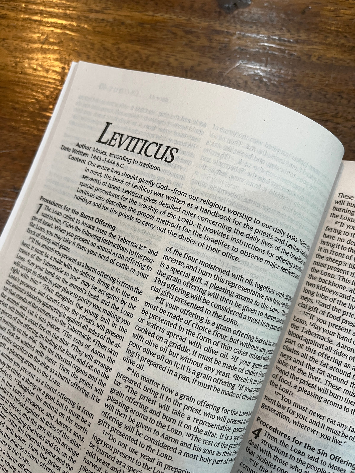 NLT Gift & Award Economy Bible