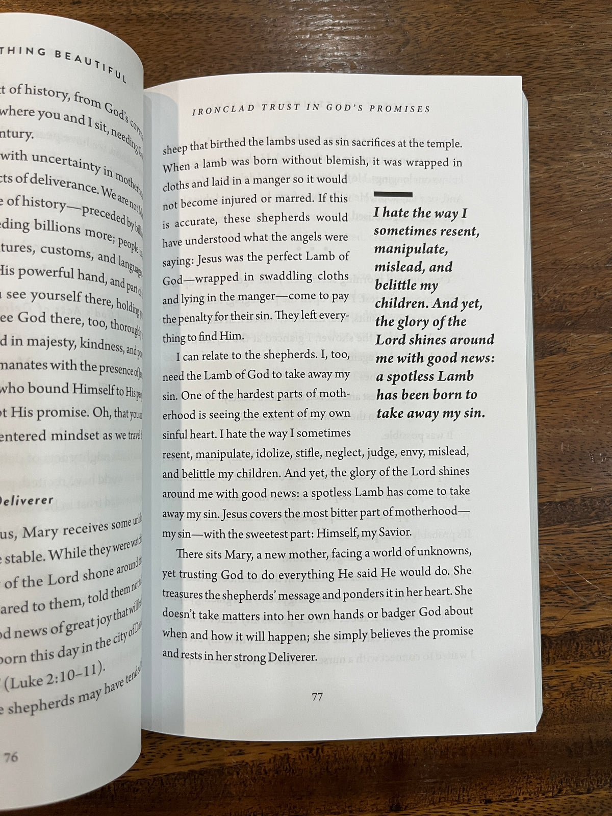 Expect Something Beautiful: Finding God's Good Gifts in Motherhood