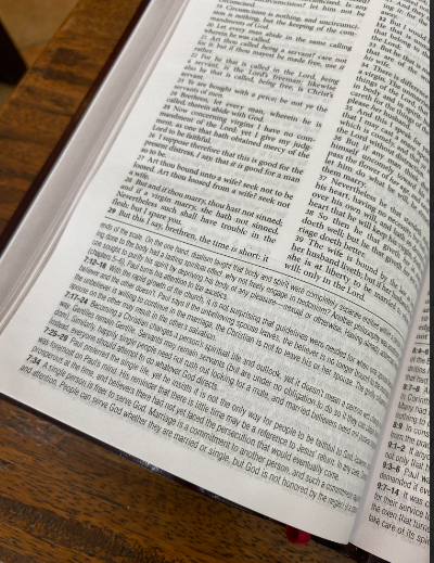 The KJV Study Bible Burgundy Bonded Leather