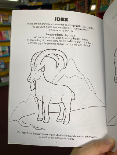Bible Animals Activity Book