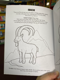 Bible Animals Activity Book