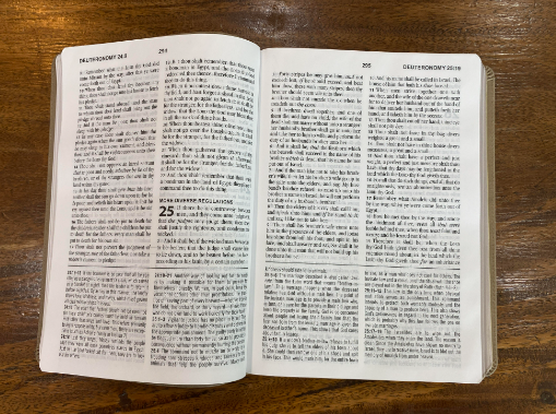KJV Large-Print Study Bible--imitation leather brown/olive