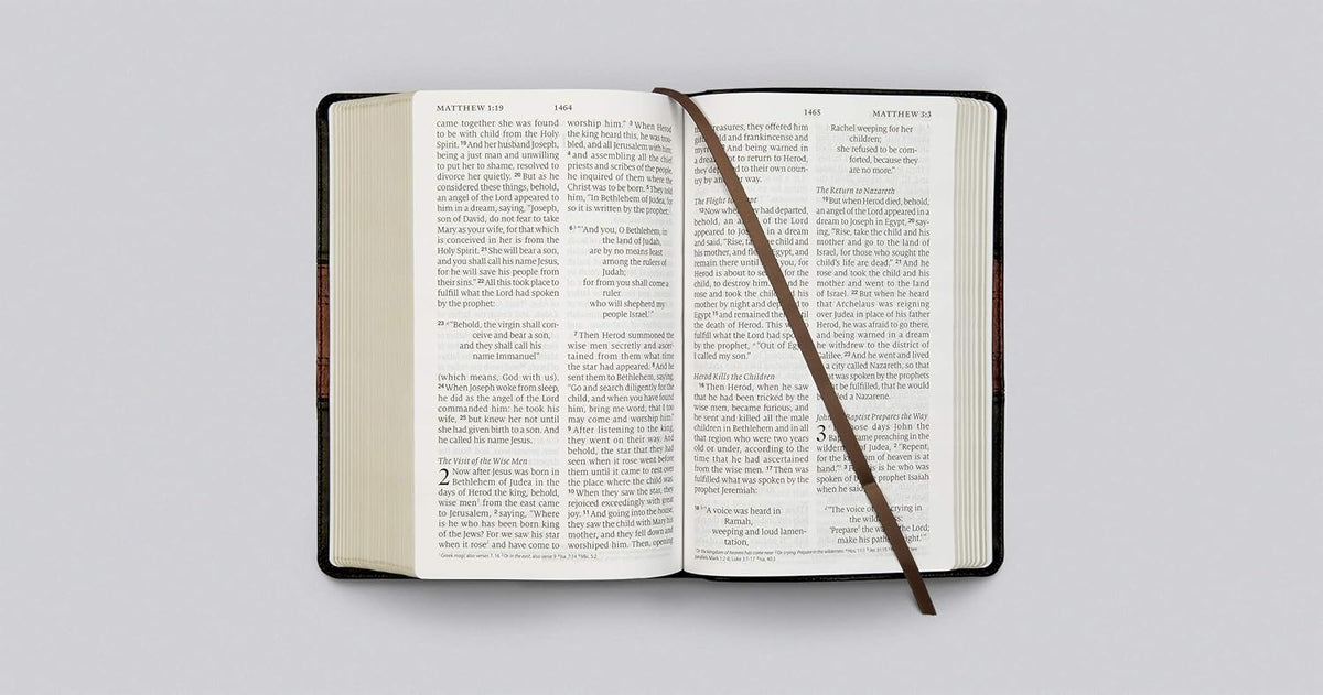 ESV Large Print Personal Size Bible, Red Letter (TruTone, Forest/Tan, Trail Design)